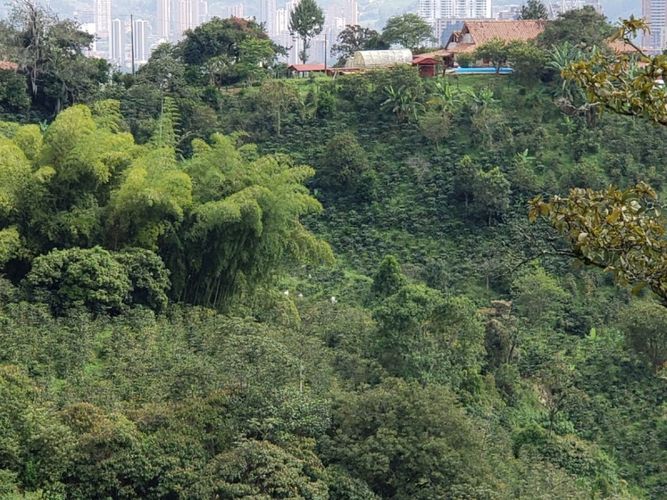 Finca en venta en San Antonio De Prado, Medellín, 458 m² · foto 9 de 11