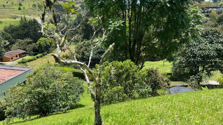 Casa de 3 alcobas en venta en Pantanillo, Envigado, 250 m² · foto 18 de 21