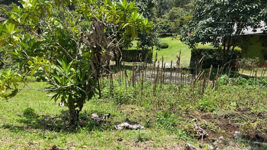 Casa de 3 alcobas en venta en Pantanillo, Envigado, 250 m² · foto 19 de 21