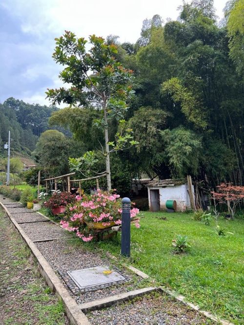 Lote en venta en El Jardin, Guarne, 600 m² · foto 2 de 24
