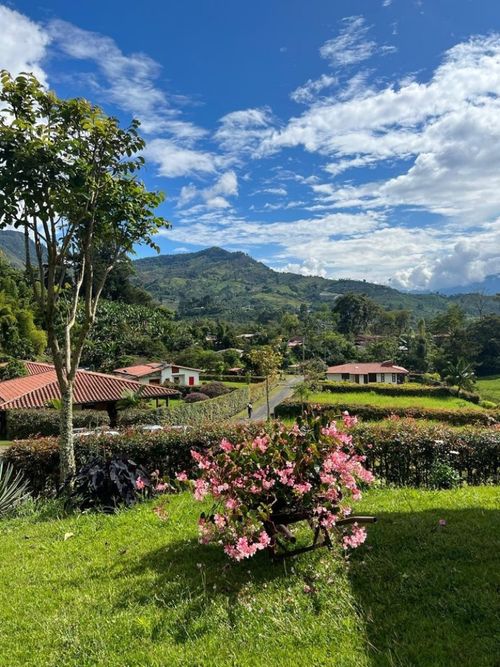Lote en venta en El Jardin, Guarne, 600 m² · foto 4 de 24