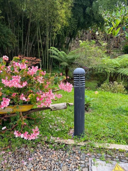 Lote en venta en El Jardin, Guarne, 600 m² · foto 9 de 24