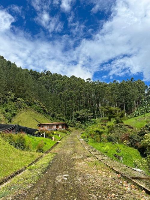 Lote en venta en El Jardin, Guarne, 600 m² · foto 24 de 24