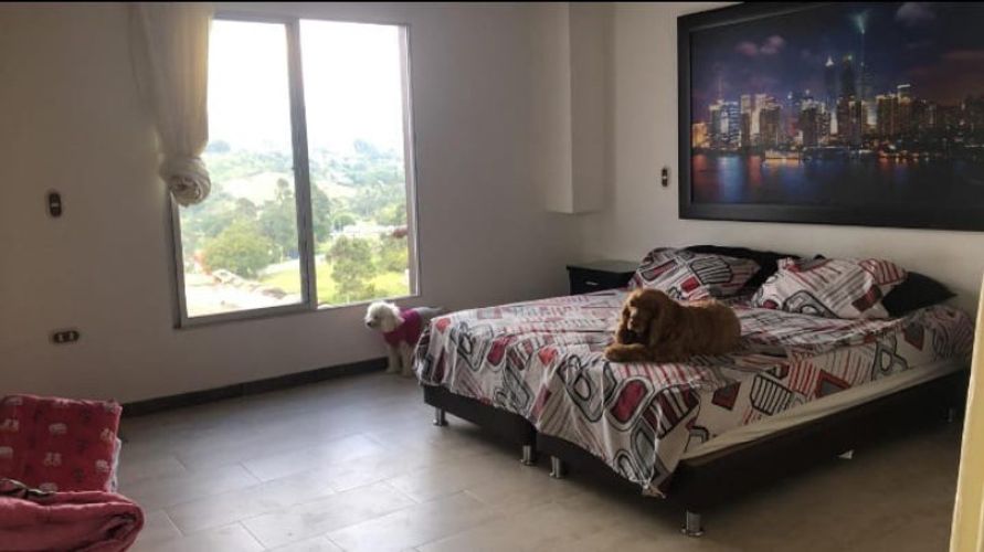 Finca en venta en Chagualo, Marinilla, 240 m² · foto 10 de 17