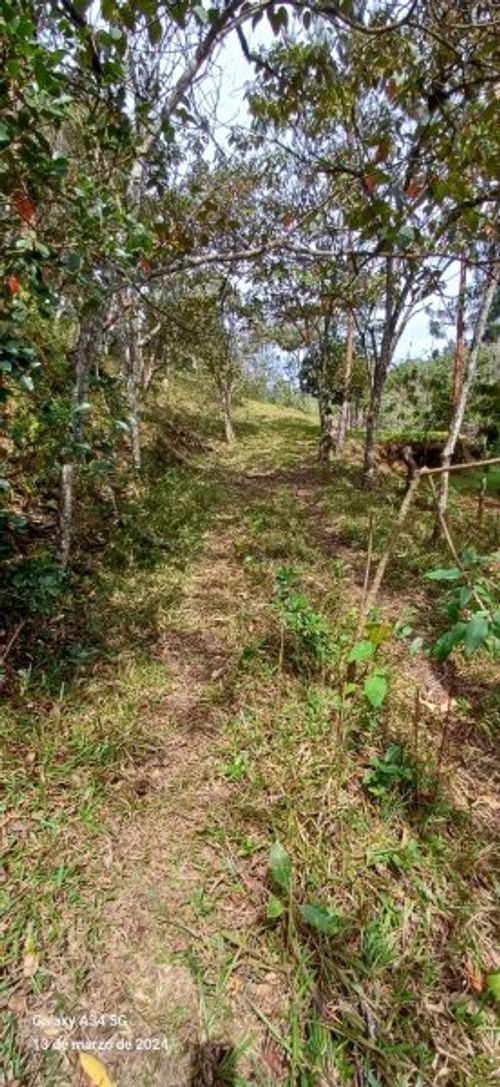 Casa de 5 alcobas en venta en Mampuesto, Rionegro · foto 11 de 24