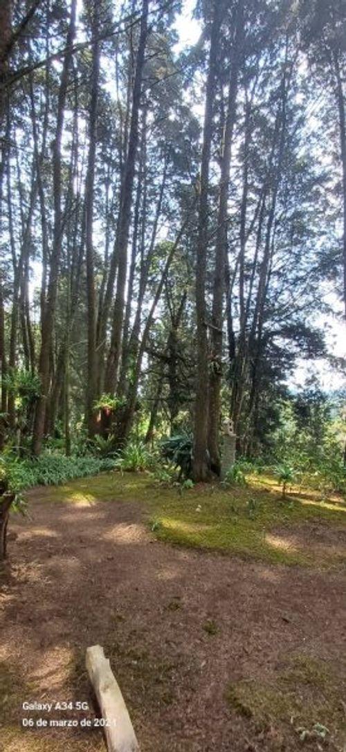 Casa de 5 alcobas en venta en Mampuesto, Rionegro · foto 13 de 24
