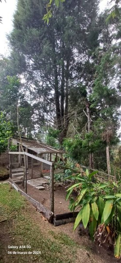 Casa de 5 alcobas en venta en Mampuesto, Rionegro · foto 16 de 24