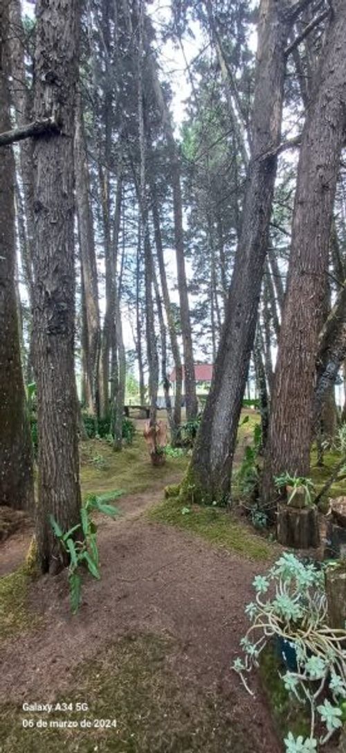 Casa de 5 alcobas en venta en Mampuesto, Rionegro · foto 17 de 24