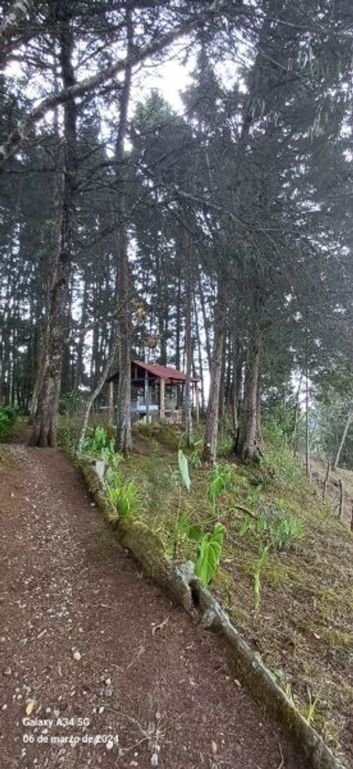 Casa de 5 alcobas en venta en Mampuesto, Rionegro · foto 21 de 24