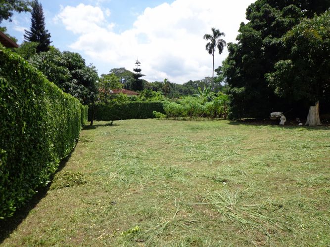 Apartamento en venta en Los Llanitos, Piedecuesta, 822 m² · foto 6 de 17
