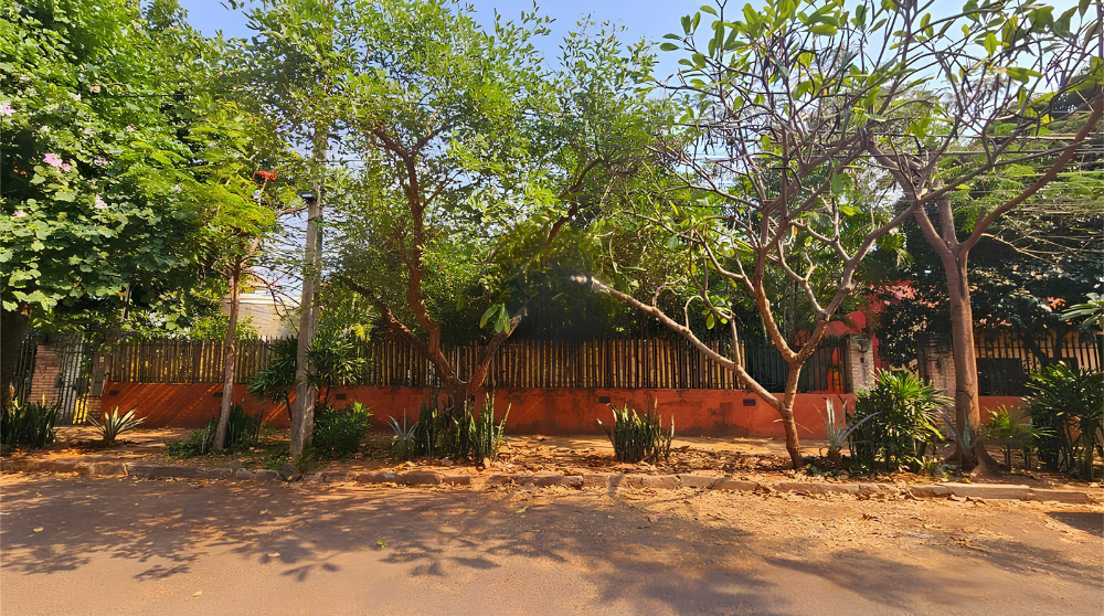 VENDO ÚNICO TERRENO EN BARRIO JARA - 7.872 m2 — foto 3