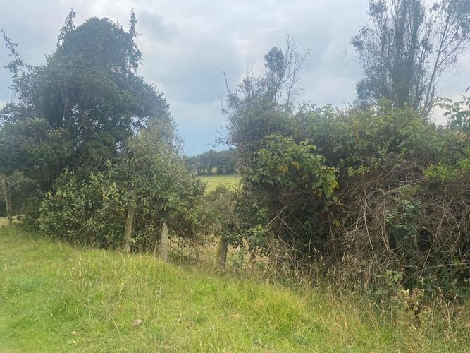 Lote en venta en Altos De Yerbabuena, Chía, 12800 m² · foto 10 de 10