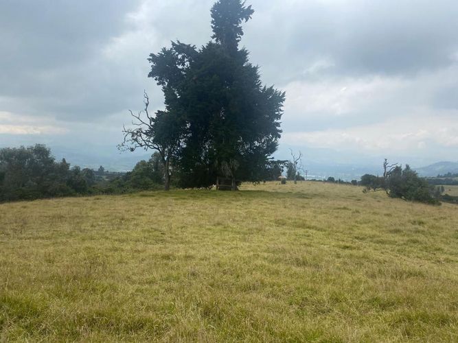 Lote en venta en Altos De Yerbabuena, Chía, 11000 m² · foto 3 de 16