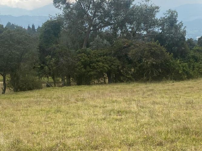 Lote en venta en Altos De Yerbabuena, Chía, 11000 m² · foto 4 de 16