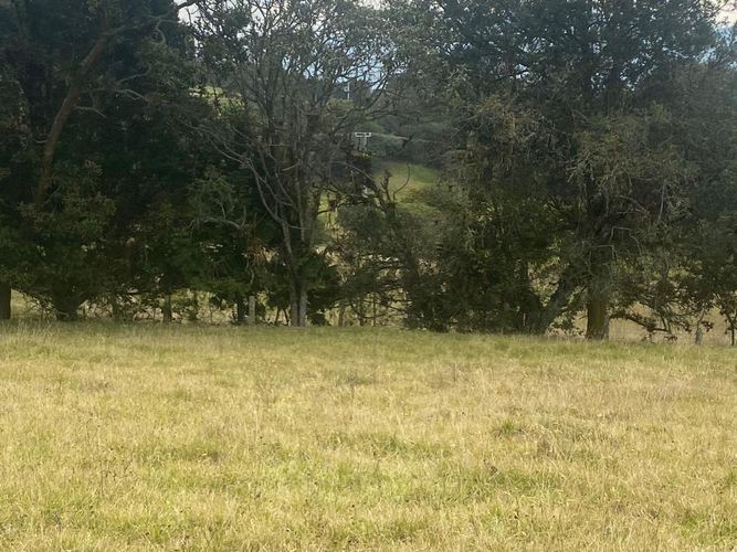 Lote en venta en Altos De Yerbabuena, Chía, 11000 m² · foto 5 de 16
