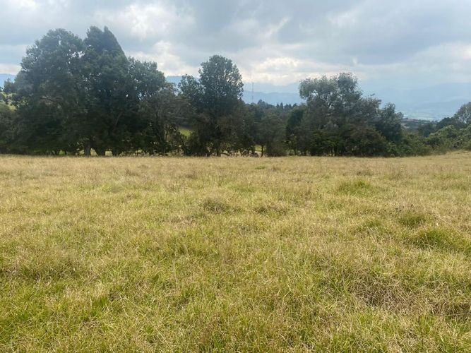 Lote en venta en Altos De Yerbabuena, Chía, 11000 m² · foto 7 de 16