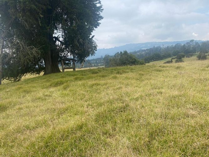 Lote en venta en Altos De Yerbabuena, Chía, 11000 m² · foto 8 de 16