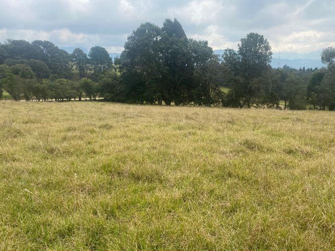 Lote en venta en Altos De Yerbabuena, Chía, 11000 m² · foto 10 de 16