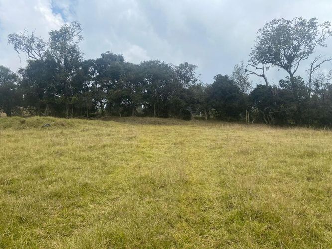 Lote en venta en Altos De Yerbabuena, Chía, 11000 m² · foto 11 de 16