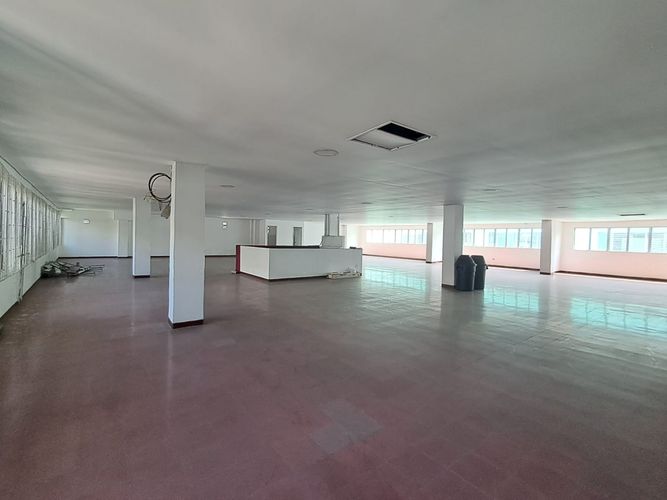 Local en arriendo en Laureles, Medellín, 308 m² · foto 4 de 13