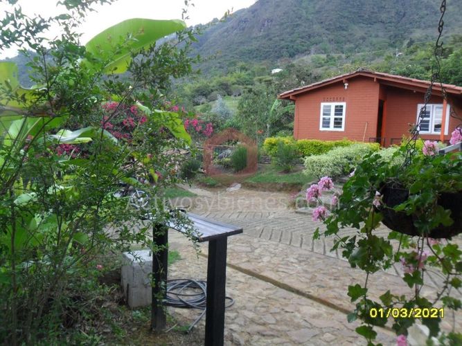 Casa de 4 alcobas en venta en Machado, Copacabana · foto 6 de 19