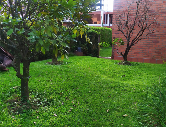 Casa de 4 alcobas en venta en Las Lomitas, Sabaneta, 295 m² · foto 16 de 16