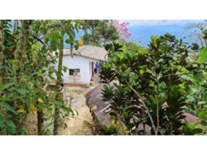 Finca en venta en Armenia, 60 m² · foto 3 de 20