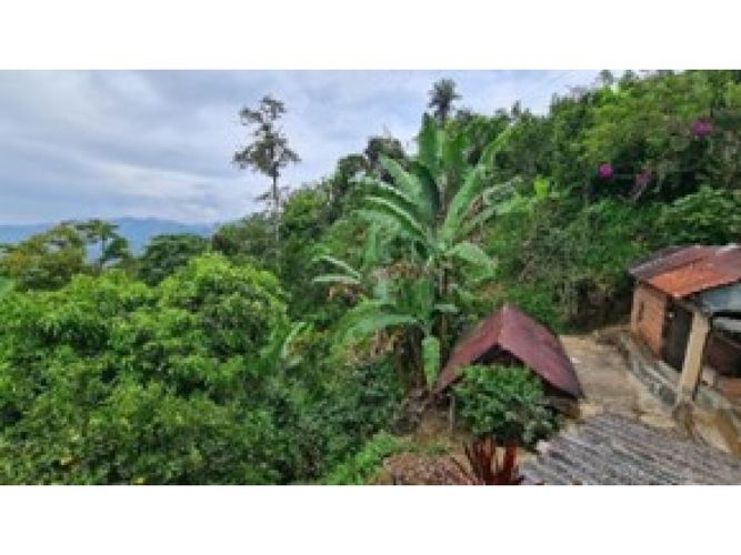Finca en venta en Armenia, 60 m² · foto 4 de 20