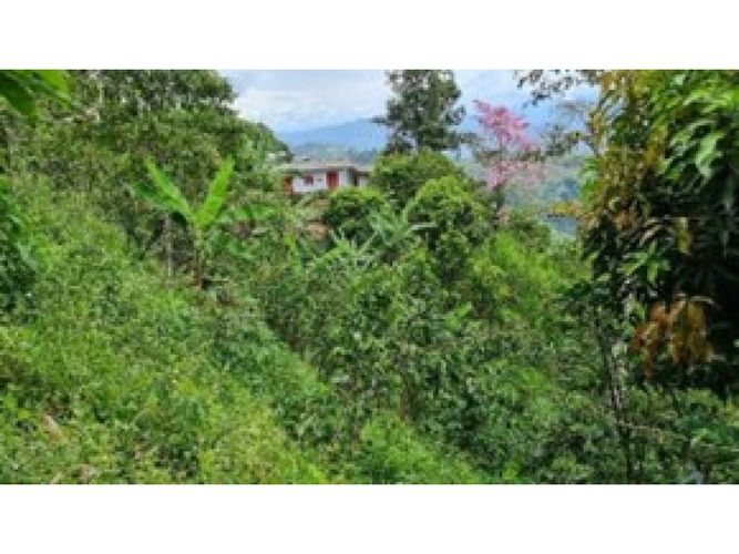 Finca en venta en Armenia, 60 m² · foto 6 de 20