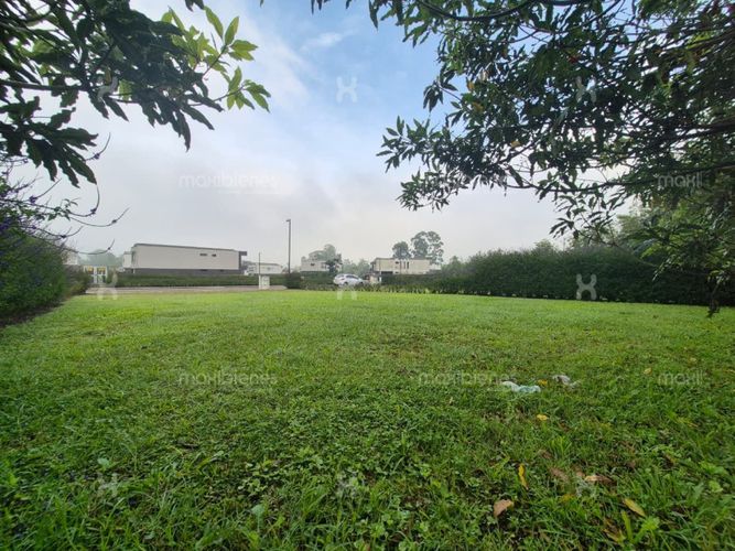 Lote en venta en Llano Grande, Rionegro, 325 m² · foto 3 de 10