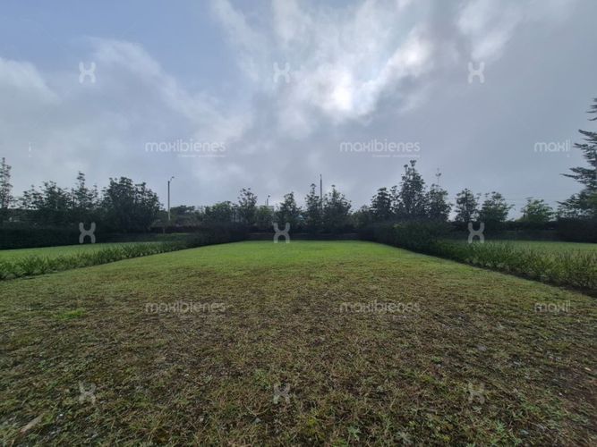 Lote en venta en Llano Grande, Rionegro, 325 m² · foto 4 de 10