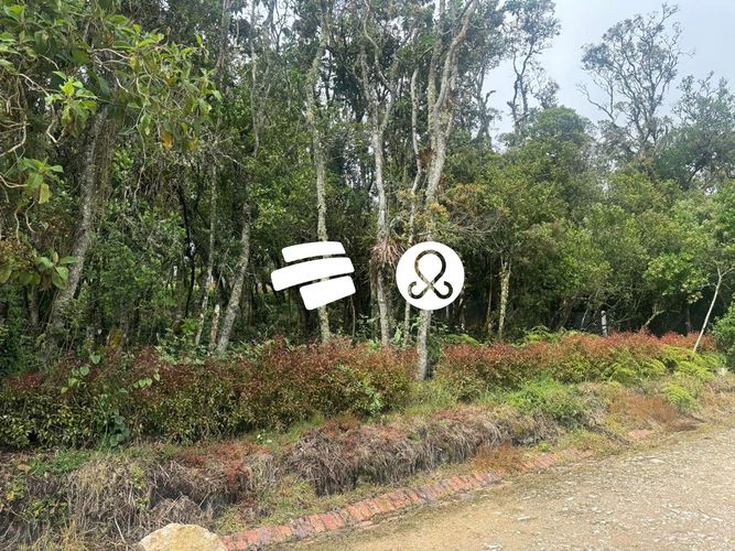 Lote en venta en Yerbabuena, Sopó, 5000 m² · foto 10 de 21
