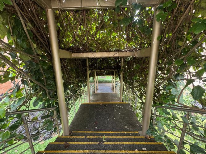 Apartaestudio en arriendo en El Poblado, Medellín, 50 m² · foto 8 de 16
