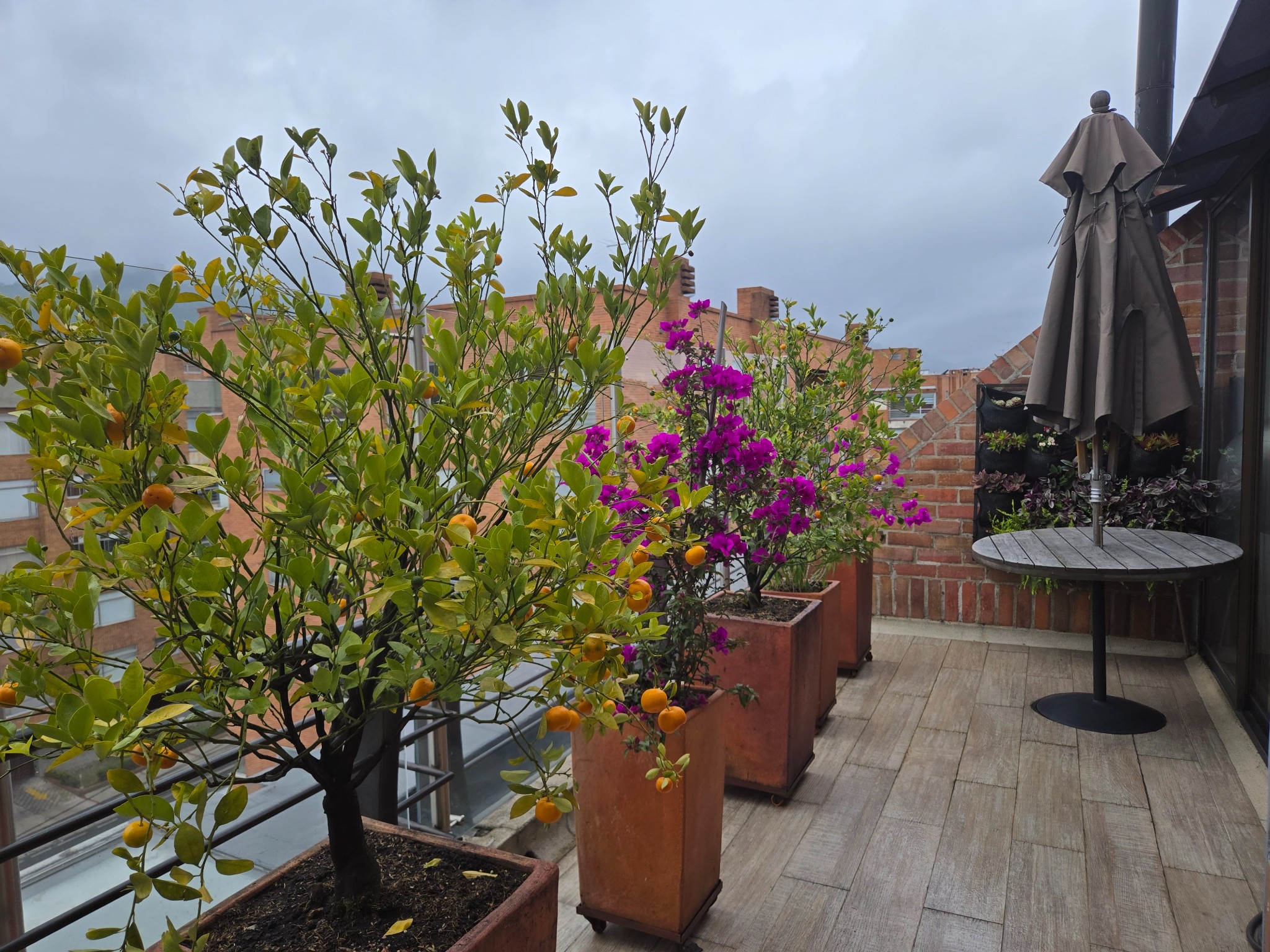 Apartamento en venta en San Patricio, Bogotá · foto 14 de 24