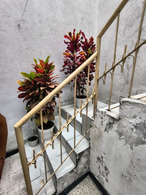 Casa de 5 alcobas en venta en La Libertad, Cali, 220 m² · foto 3 de 18