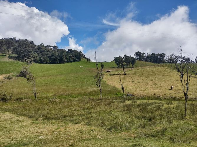 Lote en venta en Centro, La Calera, 15000 m² · foto 2 de 24