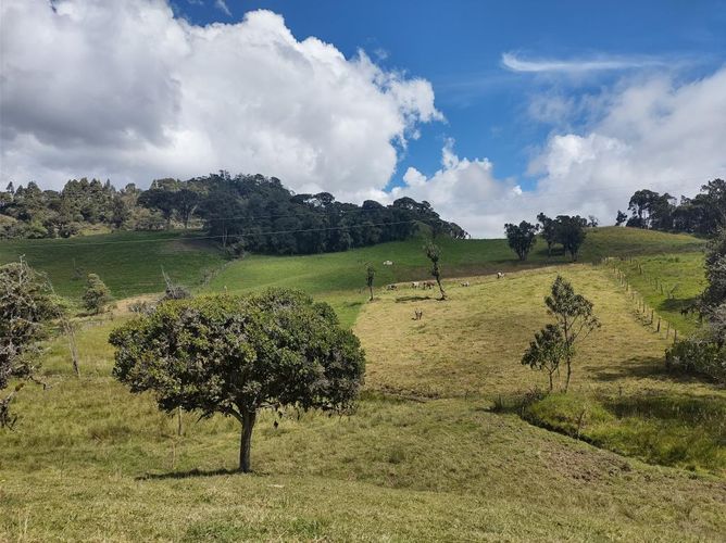 Lote en venta en Centro, La Calera, 15000 m² · foto 3 de 24