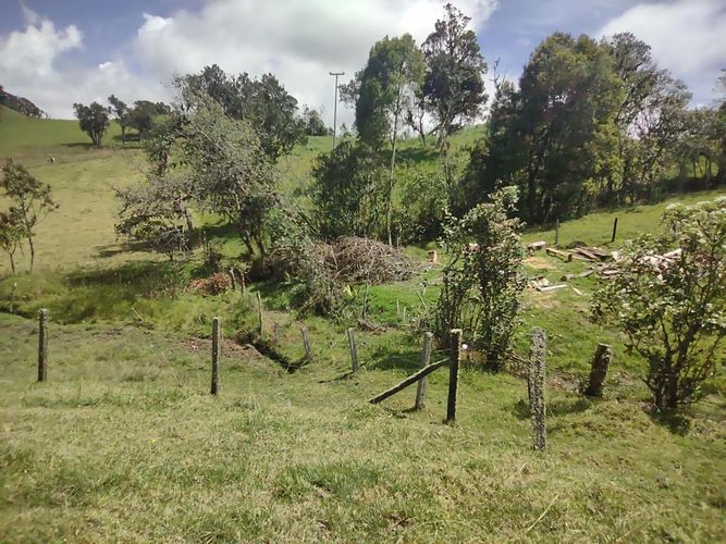 Lote en venta en Centro, La Calera, 15000 m² · foto 4 de 24