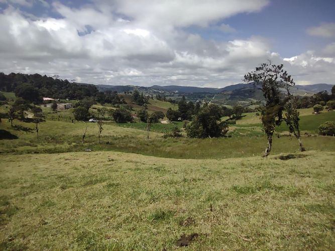 Lote en venta en Centro, La Calera, 15000 m² · foto 7 de 24