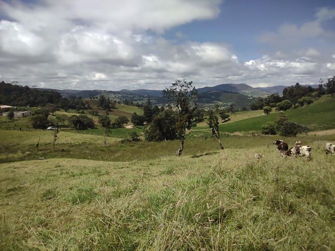 Lote en venta en Centro, La Calera, 15000 m² · foto 8 de 24