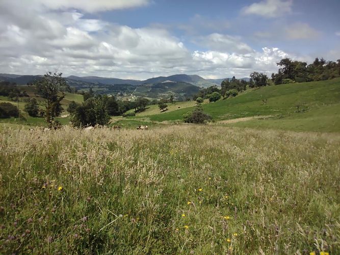 Lote en venta en Centro, La Calera, 15000 m² · foto 9 de 24