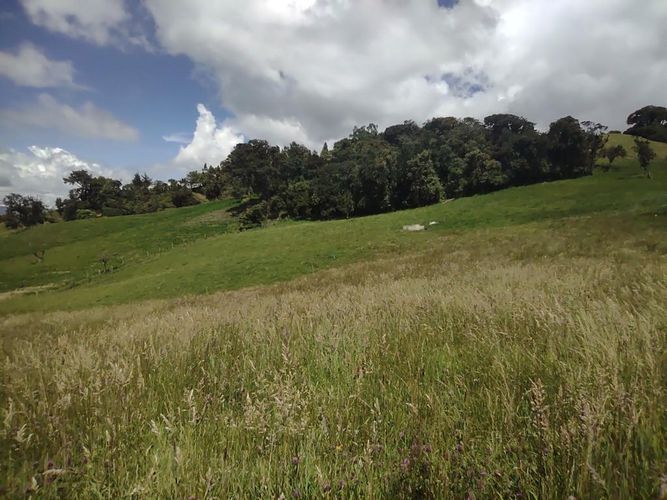 Lote en venta en Centro, La Calera, 15000 m² · foto 11 de 24