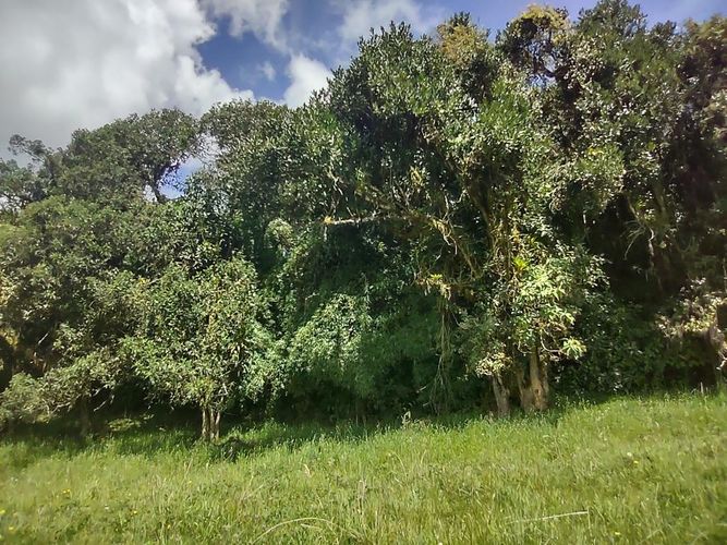 Lote en venta en Centro, La Calera, 15000 m² · foto 20 de 24