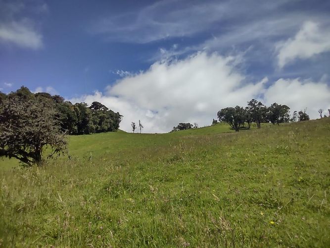 Lote en venta en Centro, La Calera, 15000 m² · foto 22 de 24