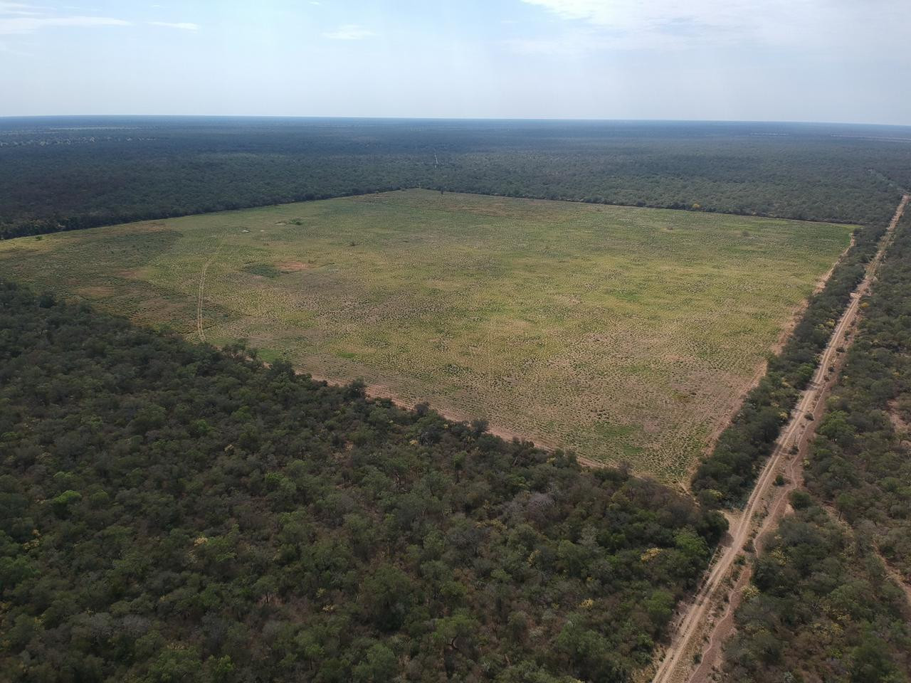 Exclusivo Campo Ganadero de Alta Productividad en Venta: Una Oportunidad Única de Inversión. — foto 2