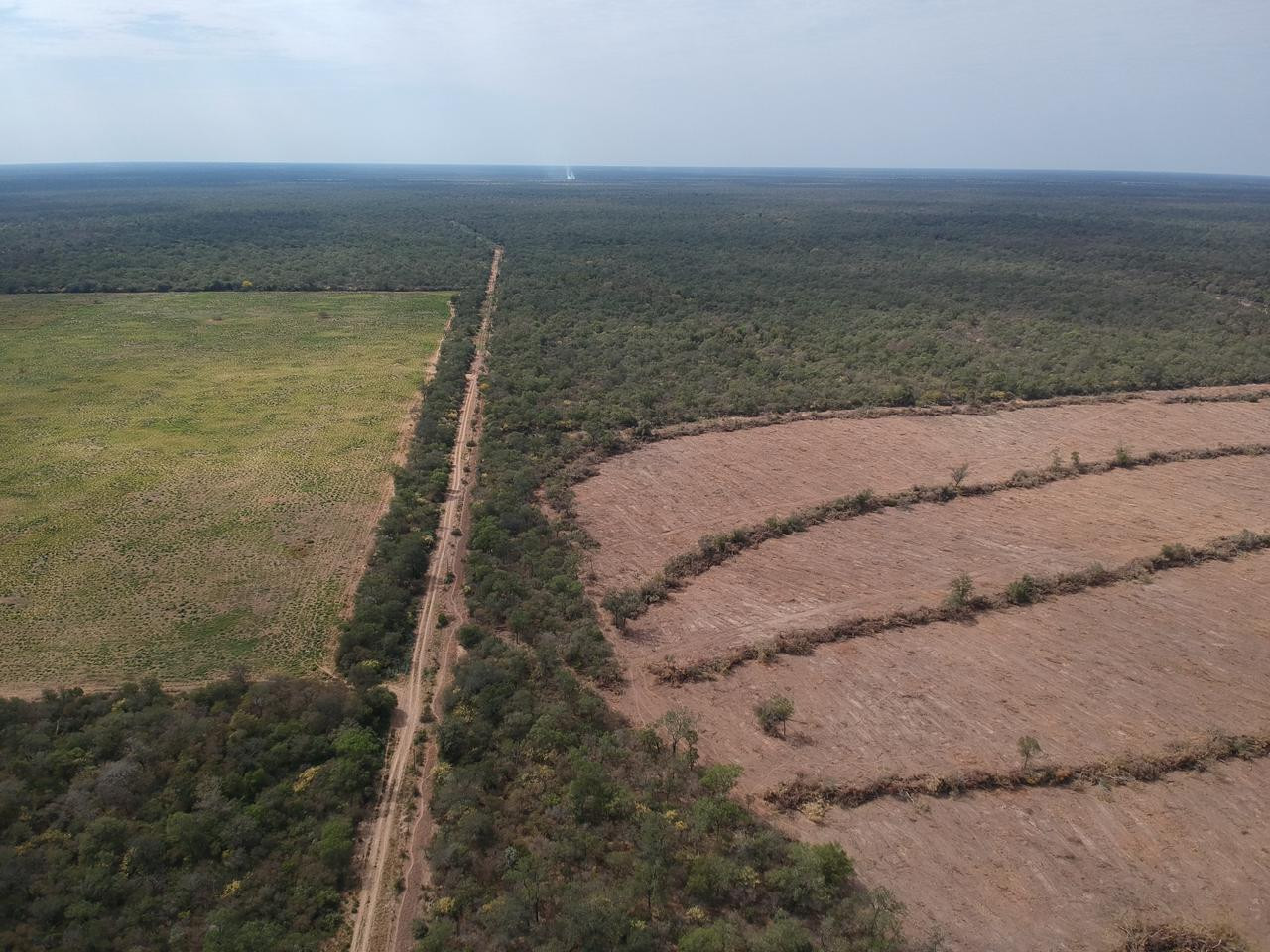 Exclusivo Campo Ganadero de Alta Productividad en Venta: Una Oportunidad Única de Inversión. — foto 3