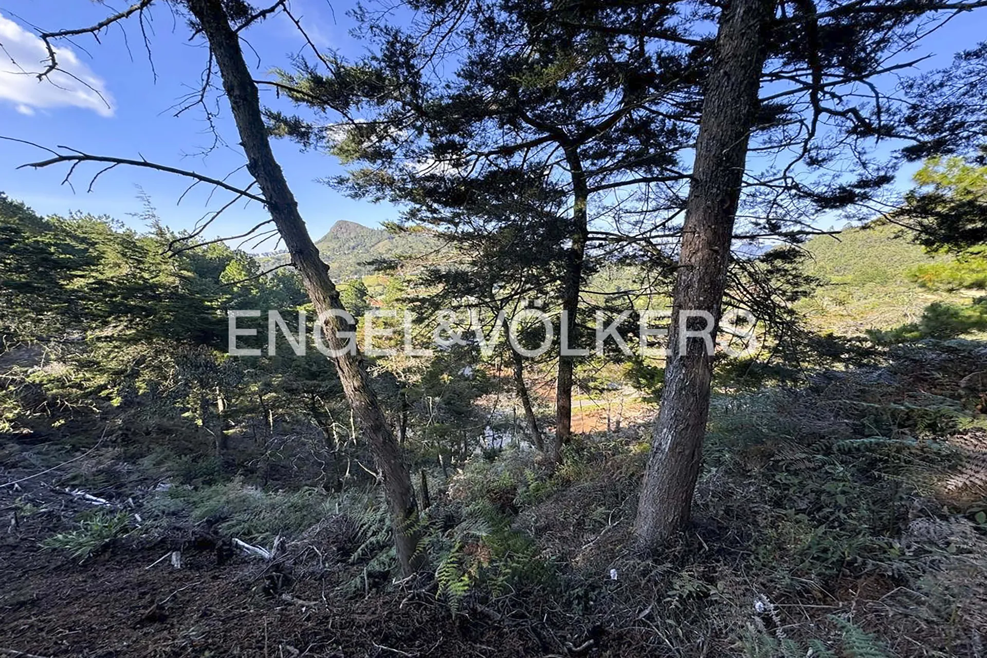Land in El Retiro for Sale - 4