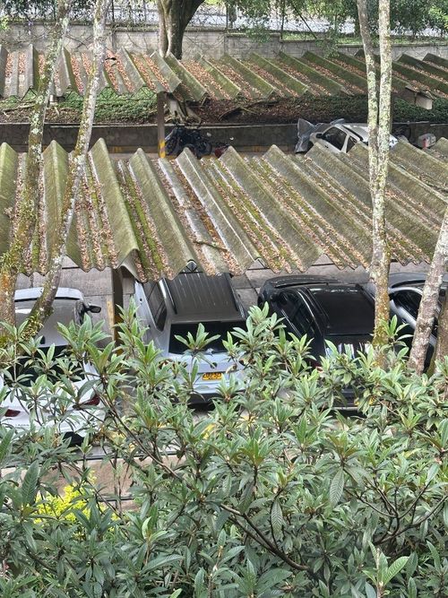 Apartamento de 3 alcobas en venta en El Tesoro, Medellín, 85 m² · foto 14 de 19