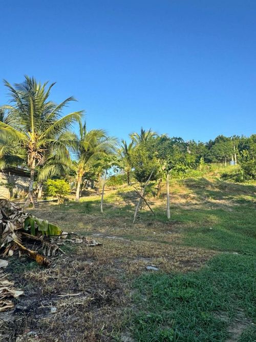 Finca en venta en Corregimiento De Minca, Santa Marta, 5730 m² · foto 11 de 17