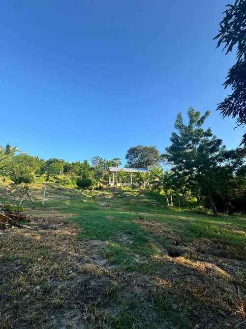 Finca en venta en Corregimiento De Minca, Santa Marta, 5730 m² · foto 16 de 17
